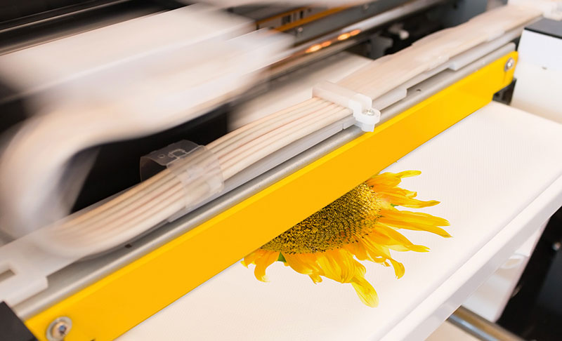 dtg direct to garment printing