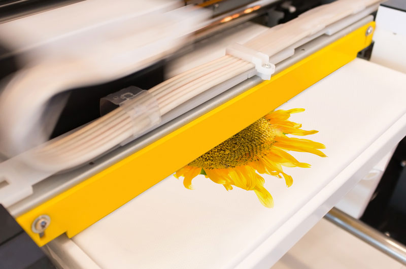 dtg direct to garment printers brighton